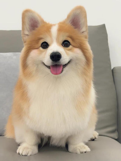 Charlie