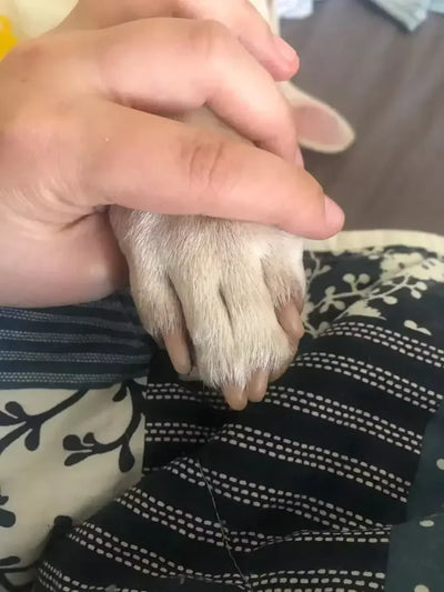 Charlie
