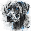 Custom Pet Portrait - Watercolor Splash